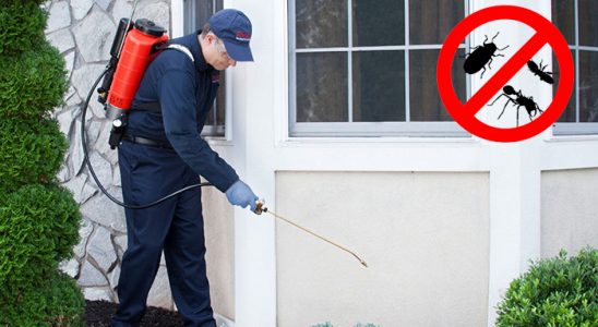 Mutki Böcek İlaçlama böcek ilaçlama ve haşere kontrolü — ilaclama-tr.com